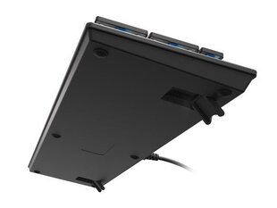 Genesis Thor 420 RGB цена и информация | Клавиатура с игровой мышью 3GO COMBODRILEW2 USB ES | kaup24.ee