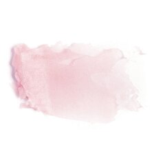 Huulepalsam - värvi alus Paese Nanorevit Lip Care 2.2 g, 40 Light Pink цена и информация | Помады, бальзамы, блеск для губ | kaup24.ee