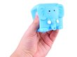 Vannimänguasjad TC Bath Toys Ruudukujulised loomad, 12-osaline цена и информация | Imikute mänguasjad | kaup24.ee