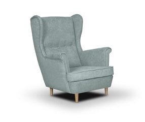 Кресло Bellezza Elite, светло-зеленое цена и информация | Кресла в гостиную | kaup24.ee