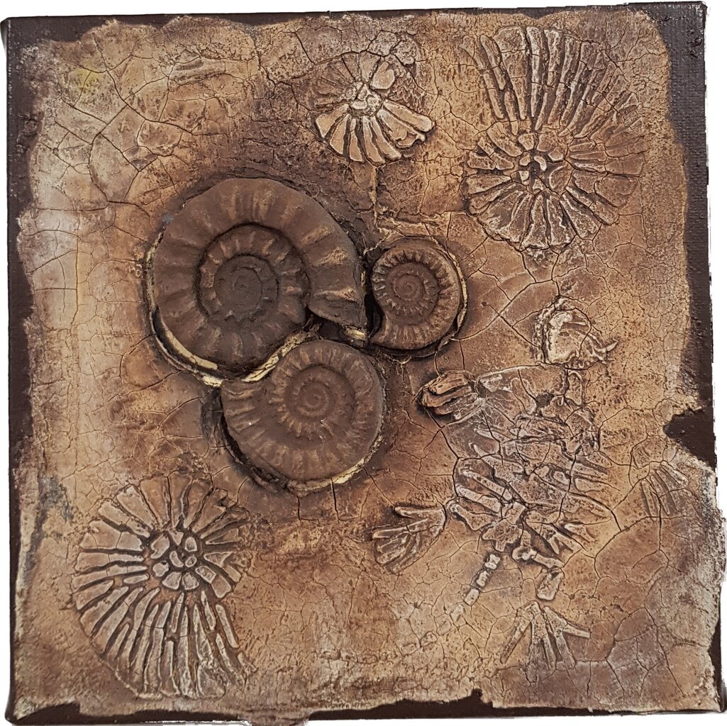 Silikoonvorm FOSSIL, 30mm hind ja info | Kunstitarbed, voolimise tarvikud | kaup24.ee