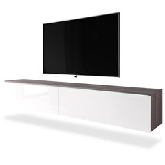 ТВ столик Selsey Kane LED, темно-коричневый/белый цена и информация | Тумбы под телевизор | kaup24.ee
