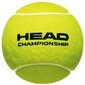 Tennisepallid Head Championship 3 tk hind ja info | Välitennise tooted | kaup24.ee