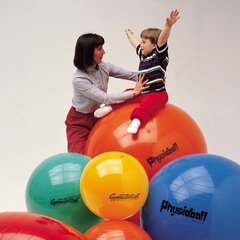 Võimlemispall Pezzi Physioball 85 cm, sinine цена и информация | Гимнастические мячи | kaup24.ee