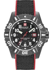 Часы Swiss Military Hanowa 06-4309.17.007.04 цена и информация | Мужские часы | kaup24.ee