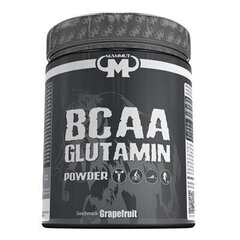 Пищевая добавка MAMMUT Nutrition BCAA Glutamin Powder, 450 г цена и информация | Аминокислоты | kaup24.ee