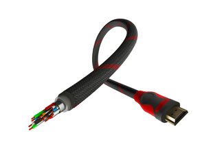 Kaabel Genesis NKA-0787, HDMI - HDMI v2.0, 3 m цена и информация | Адаптеры и USB-hub | kaup24.ee