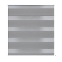 Ribakardin, ruloo Zebra, 60 x 120 cm, hall цена и информация | Рулонные шторы | kaup24.ee