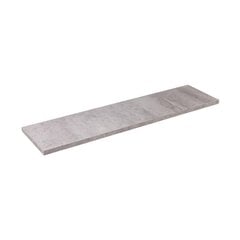 Seinariiul Floorpol 60x20 cm, hall/hõbedane цена и информация | Полки | kaup24.ee