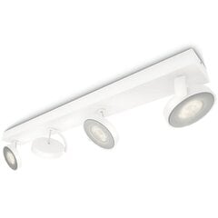 LED valgusti Philips myLiving Clockwork 4x4,5 W, valge, 531743116 цена и информация | Потолочные светильники | kaup24.ee