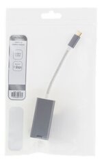 Deltaco USBC-GIGA4, USB-C, RJ45, 0.06 м цена и информация | Кабели и провода | kaup24.ee