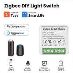 Tuya Zigbee 1/2/3/4Ch Diy Smart Switch 2-Стороннее Управление Световым Реле Smart Life Wireless_1pc_3gang цена и информация | Системы безопасности, контроллеры | kaup24.ee