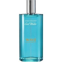 Tualettvesi Davidoff Cool Water Wave EDT meestele 125 ml цена и информация | Мужские духи | kaup24.ee