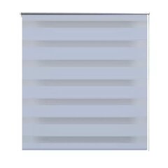 Ribakardin, ruloo Zebra, 50 x 100 cm, valge цена и информация | Рулонные шторы | kaup24.ee