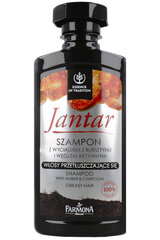 Šampoon rasustele juustele Farmona Jantar, 330 ml hind ja info | Šampoonid | kaup24.ee