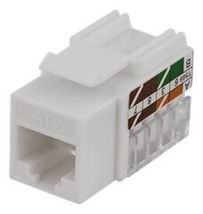 Deltaco MD-111, RJ45 UTP цена и информация | Кабели и провода | kaup24.ee