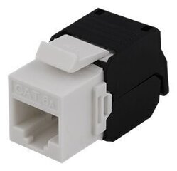 Deltaco MD-109, RJ45 UTP (CAT 6A) hind ja info | Kaablid ja juhtmed | kaup24.ee