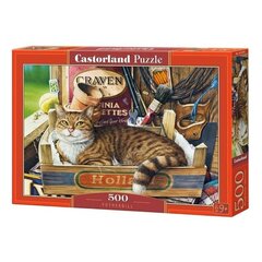 Pusle Castorland Kass, 500 tk hind ja info | Pusled | kaup24.ee