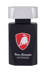 Tualettvesi Tonino Lamborghini Intenso EDT meestele 75 ml hind ja info | Tonino Lamborghini Sanitaartehnika, remont, küte | kaup24.ee