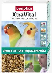 Корм для попугаев Beaphar Xtra Vital, 500 грамм цена и информация | Корм для птиц | kaup24.ee