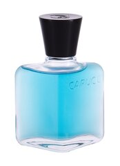 Raseerimisjärgne losjoon Roberto Capucci Blu Water 100 ml hind ja info | Lõhnastatud kosmeetika meestele | kaup24.ee