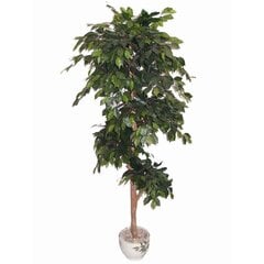 Kunsttaim Ficus 180cm hind ja info | Kunstlilled | kaup24.ee