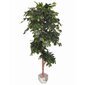 Kunsttaim Ficus 180cm цена и информация | Kunstlilled | kaup24.ee