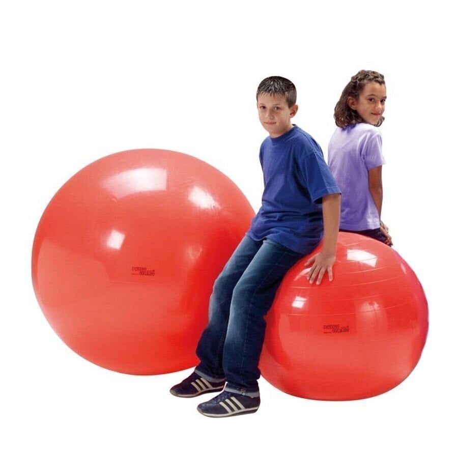 Võimlemispall Original PEZZI Physioball 95cm. hind ja info | Võimlemispallid | kaup24.ee