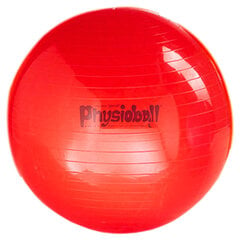 Võimlemispall Original PEZZI Physioball 95cm. hind ja info | Võimlemispallid | kaup24.ee