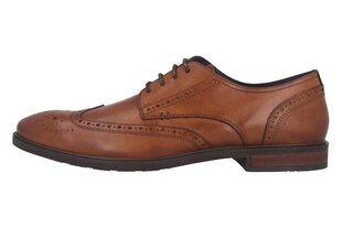 Классические коричневые мужские туфли большого размера Josef Seibel цена и информация | Мужские ботинки | kaup24.ee