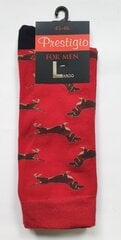 Классические хлопковые мужские носки с рисунком "Такса" (Красные) цена и информация | Мужские носки | kaup24.ee