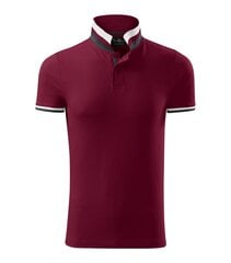 Футболка поло Collar Up для мужчин, красная цена и информация | Мужские футболки | kaup24.ee