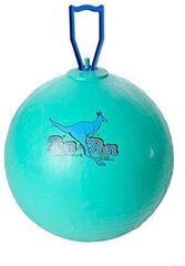 Мяч для прыжков Original Pezzi Pon Pon Maxi 65 см цена и информация | SportVida Фитнес упражнений & Реабилитации мяч 55CM диаметр с насосом Коралллого Розовый | kaup24.ee