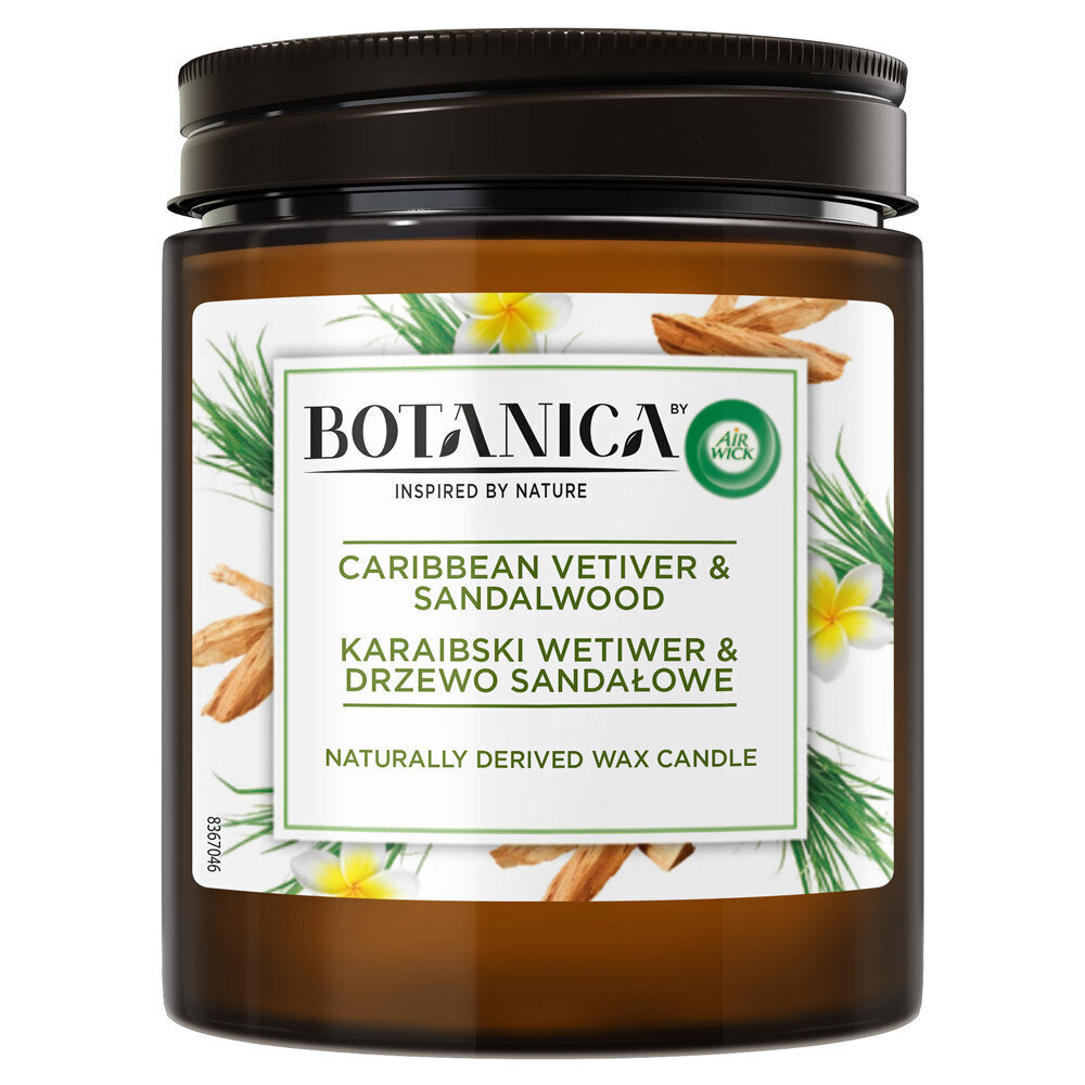 AW Bot. lõhnaküünal Caribbean Sandalwood 205 G hind ja info | Küünlad, küünlajalad | kaup24.ee