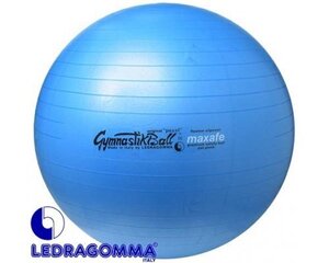 Võimlemispall Ledragomma Original Pezzi Gymnastik Ball Maxafe 65 cm, sinine hind ja info | Võimlemispallid | kaup24.ee