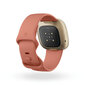 Fitbit Versa 3 Pink Clay/Soft Gold hind ja info | Nutikellad (smartwatch) | kaup24.ee