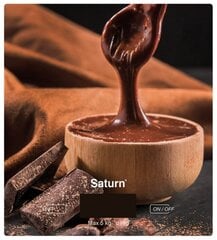 Кухонные весы Saturn, ST-KS7835 цена и информация | Кухонные весы | kaup24.ee