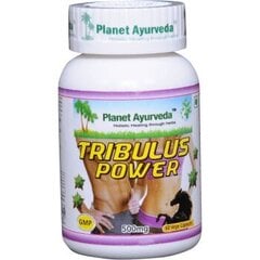 Tribulus Power вегетарианские капсулы Planeta Ayurveda™ цена и информация | Стимуляторы тестостерона | kaup24.ee