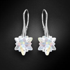 Naiste hõbedased kõrvarõngad DiamondSky „Edelweiss (Aurore Boreale)“ Swarovski kristallidega цена и информация | Серьги | kaup24.ee