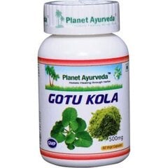 Toidulisand Gotu Kola mälu, veenilaiendite, depressiooni jaoks, 60 kapslit hind ja info | Vitamiinid, toidulisandid, preparaadid tervise heaoluks | kaup24.ee