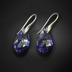 Naiste hõbedased kõrvarõngad DiamondSky "Baroque (Tanzanite AB)" Swarovski kristallidega hind ja info | Kõrvarõngad | kaup24.ee