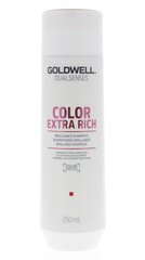 Šampūnas dažytiems Goldwell Color Extra Rich Brilliance Shampoo 250ml цена и информация | Шампуни | kaup24.ee