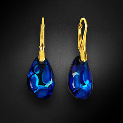 Naiste hõbedased kõrvarõngad DiamondSky "Radiolarian (Bermuda Blue)" Swarovski kristallidega hind ja info | Kõrvarõngad | kaup24.ee