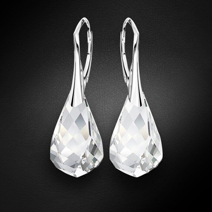 Naiste hõbedased kõrvarõngad DiamondSky "Helix" Swarovski kristallidega hind ja info | Kõrvarõngad | kaup24.ee