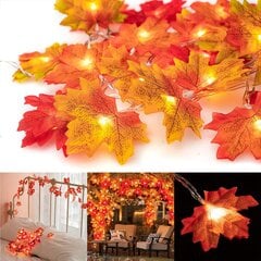 String Lights Maple Leaf Lights Twinkle Rippvalgustid hind ja info | Jõulutuled | kaup24.ee