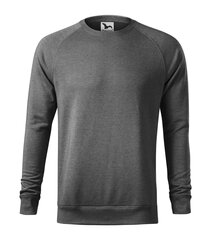 Спортивный свитер Merger для мужчин, красный цена и информация | Мужские толстовки | kaup24.ee