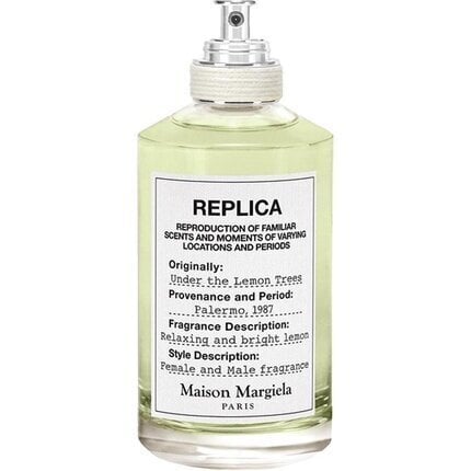 Tualettvesi Maison Margiela Replica Under The Lemon Trees EDT naistele/meestele 100 ml цена и информация | Naiste parfüümid | kaup24.ee