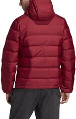 Jope Adidas Helionic Ho Jkt Red цена и информация | Мужские куртки | kaup24.ee