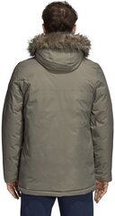 Adidas Куртка Xploric Parka Cargo цена и информация | Мужские куртки | kaup24.ee