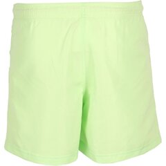 Lühikesed ujumispüksid Reebok Bw Basic Boxer Green hind ja info | Ujumispüksid, shortsid | kaup24.ee